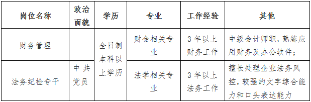 湖南电子信息产业集团有限公司 财务管理、法务纪检专干公开招聘