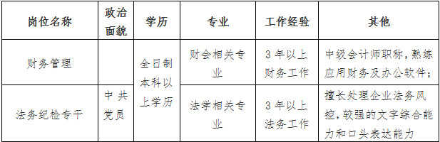 湖南电子信息产业集团有限公司 财务管理、法务纪检专干公开招聘